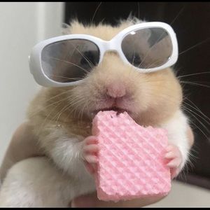 Meet your Posher, Karrington